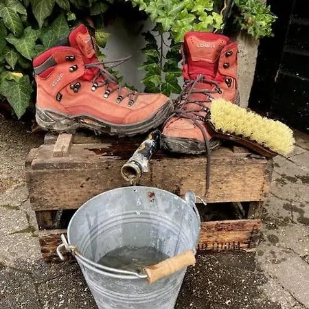 Altes Winzerhaus Lenz * 平德里希