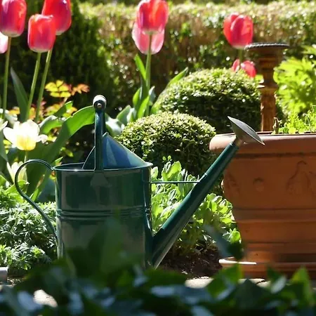 公寓 Altes Winzerhaus Lenz 平德里希