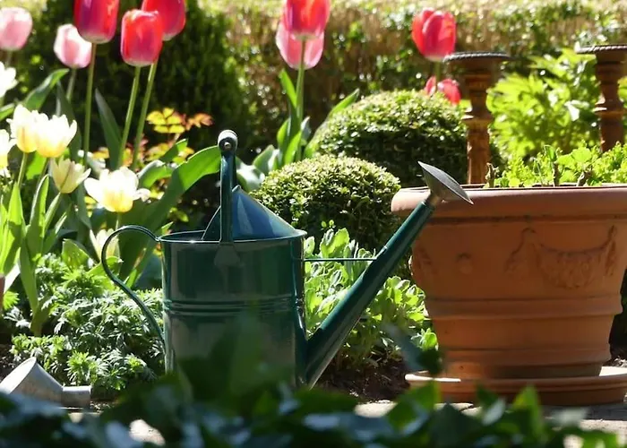 아파트 Altes Winzerhaus Lenz 푼데리크